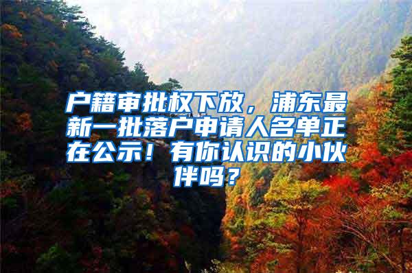 户籍审批权下放，浦东最新一批落户申请人名单正在公示！有你认识的小伙伴吗？