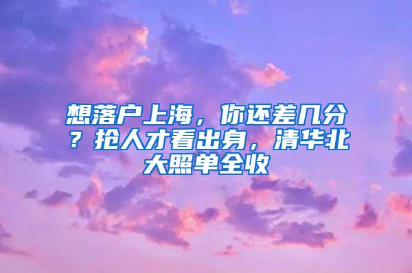 想落户上海，你还差几分？抢人才看出身，清华北大照单全收