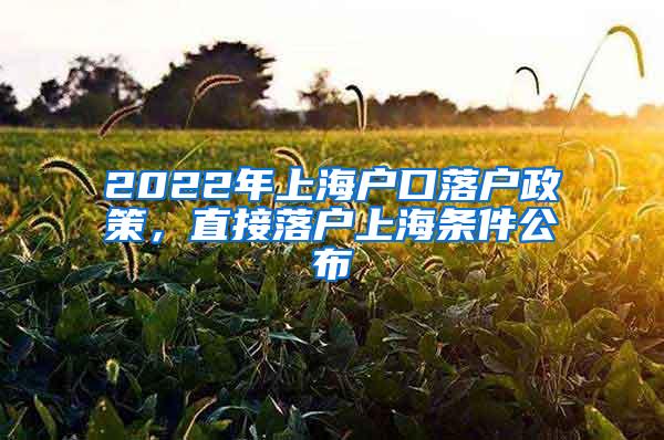 2022年上海户口落户政策，直接落户上海条件公布