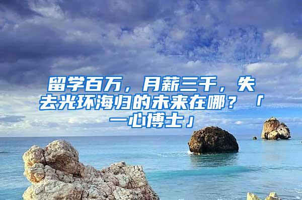 留学百万，月薪三千，失去光环海归的未来在哪？「一心博士」