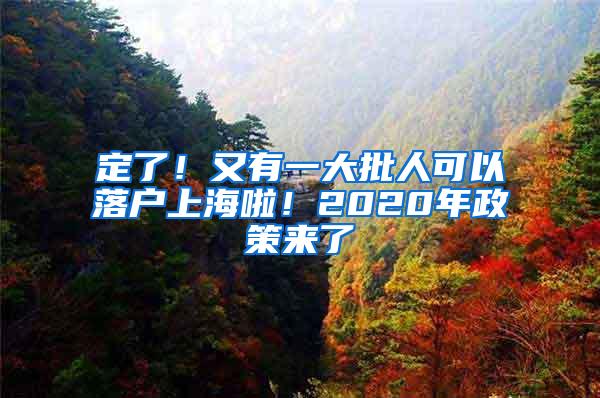 定了！又有一大批人可以落户上海啦！2020年政策来了