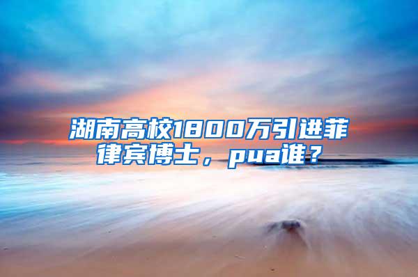 湖南高校1800万引进菲律宾博士，pua谁？