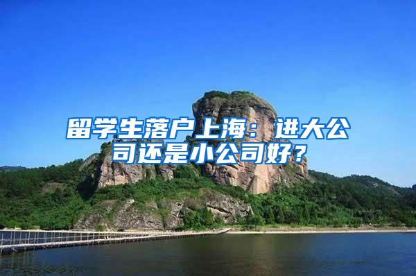 留学生落户上海：进大公司还是小公司好？