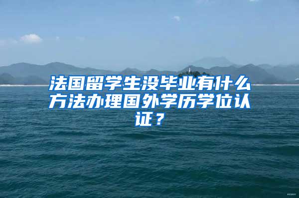 法国留学生没毕业有什么方法办理国外学历学位认证？