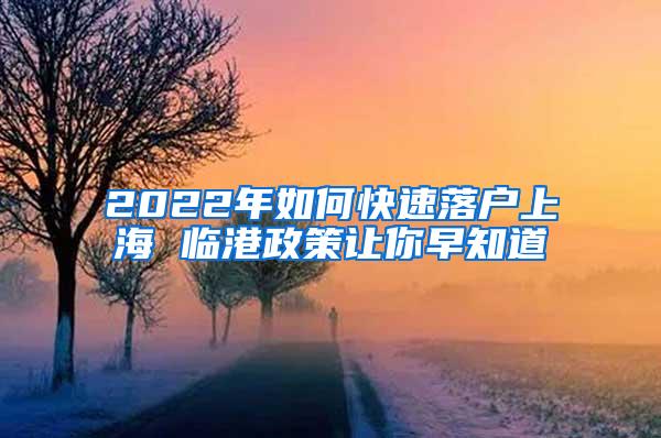 2022年如何快速落户上海 临港政策让你早知道