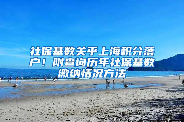 社保基数关乎上海积分落户！附查询历年社保基数缴纳情况方法