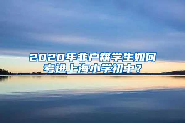 2020年非户籍学生如何考进上海小学初中？