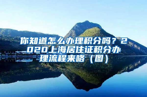 你知道怎么办理积分吗？2020上海居住证积分办理流程来咯（图）