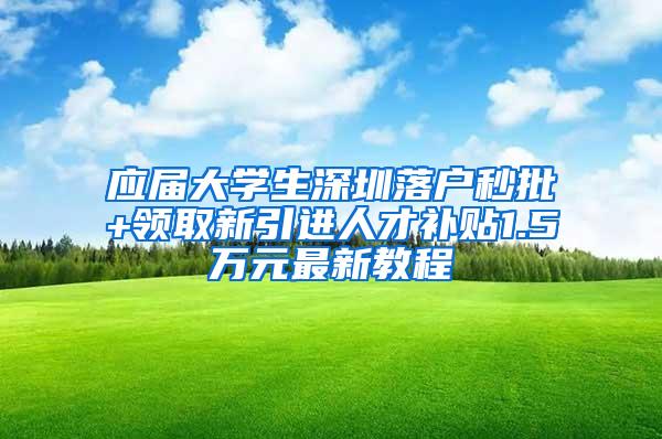 应届大学生深圳落户秒批+领取新引进人才补贴1.5万元最新教程