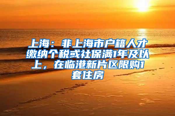 上海：非上海市户籍人才缴纳个税或社保满1年及以上，在临港新片区限购1套住房