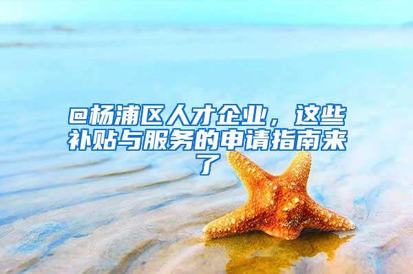 @杨浦区人才企业，这些补贴与服务的申请指南来了