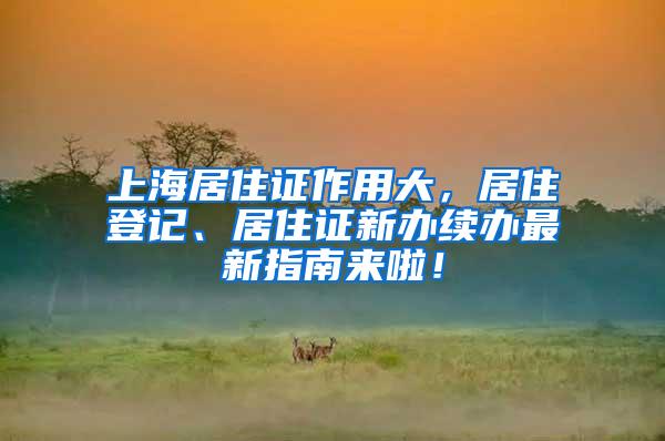 上海居住证作用大，居住登记、居住证新办续办最新指南来啦！