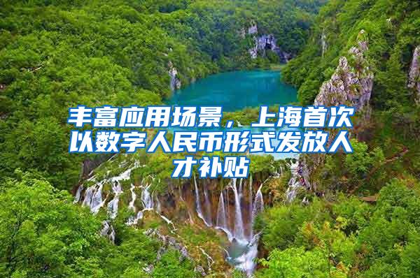 丰富应用场景，上海首次以数字人民币形式发放人才补贴