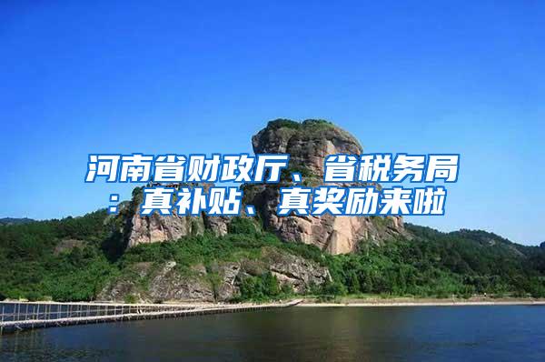 河南省财政厅、省税务局：真补贴、真奖励来啦