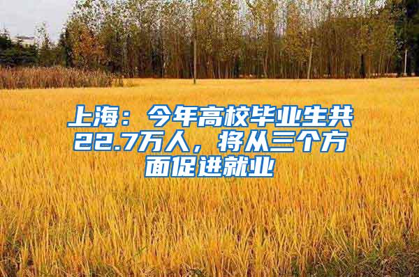 上海：今年高校毕业生共22.7万人，将从三个方面促进就业