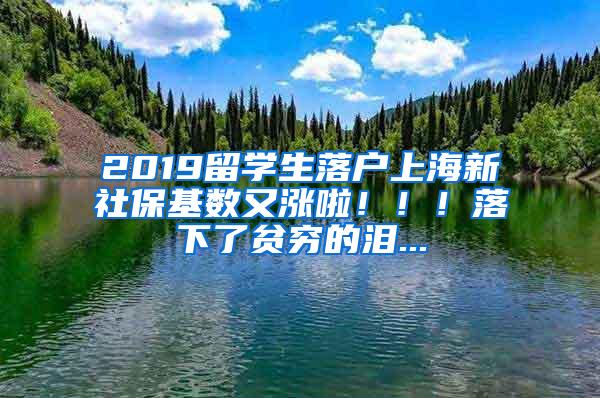 2019留学生落户上海新社保基数又涨啦！！！落下了贫穷的泪...