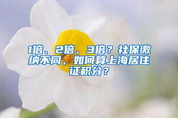 1倍、2倍、3倍？社保缴纳不同，如何算上海居住证积分？