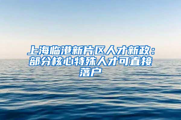 上海临港新片区人才新政：部分核心特殊人才可直接落户