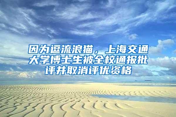 因为逗流浪猫，上海交通大学博士生被全校通报批评并取消评优资格