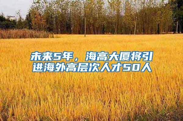 未来5年，海高大厦将引进海外高层次人才50人