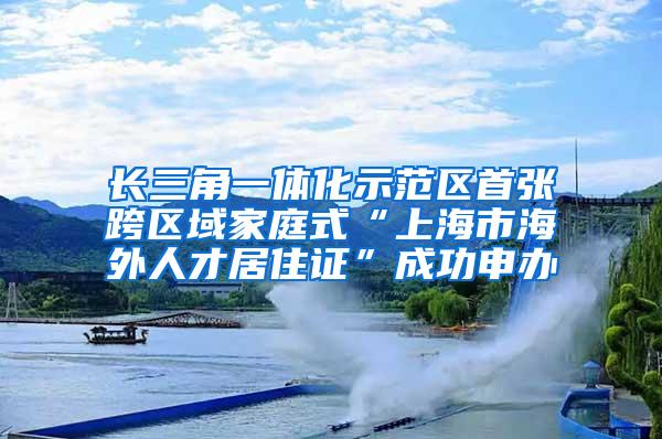 长三角一体化示范区首张跨区域家庭式“上海市海外人才居住证”成功申办