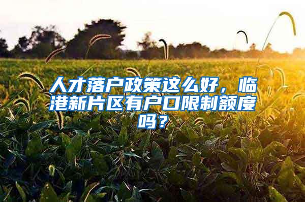 人才落户政策这么好，临港新片区有户口限制额度吗？