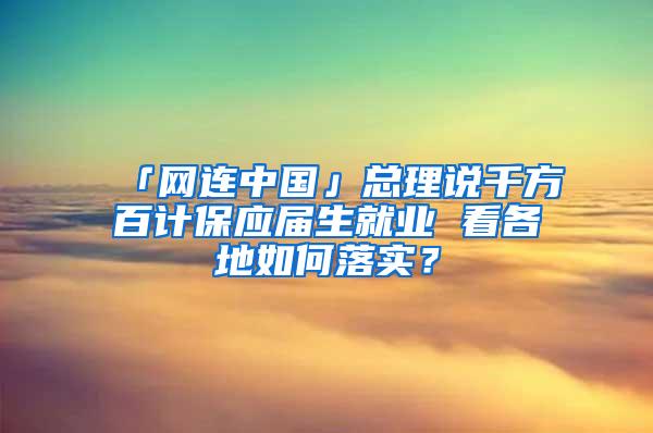 「网连中国」总理说千方百计保应届生就业 看各地如何落实？