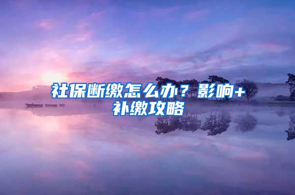 社保断缴怎么办？影响+补缴攻略