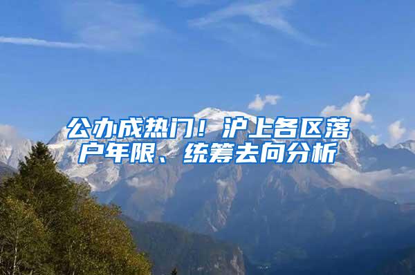 公办成热门！沪上各区落户年限、统筹去向分析