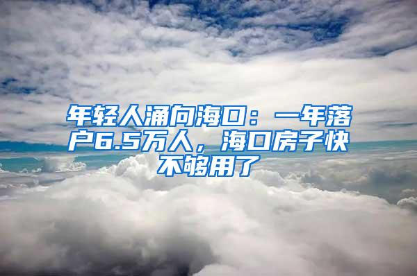 年轻人涌向海口：一年落户6.5万人，海口房子快不够用了