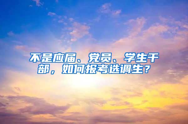 不是应届、党员、学生干部，如何报考选调生？