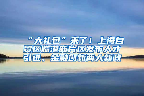 “大礼包”来了！上海自贸区临港新片区发布人才引进、金融创新两大新政