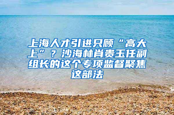 上海人才引进只顾“高大上”？沙海林肖贵玉任副组长的这个专项监督聚焦这部法