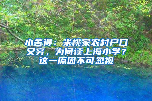 小舍得：米桃家农村户口又穷，为何读上海小学？这一原因不可忽视