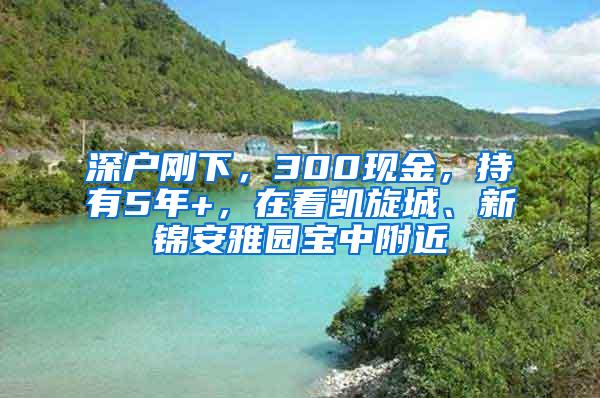 深户刚下，300现金，持有5年+，在看凯旋城、新锦安雅园宝中附近