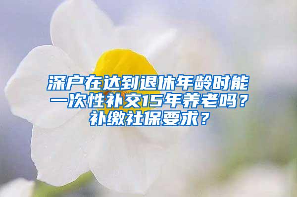 深户在达到退休年龄时能一次性补交15年养老吗？补缴社保要求？