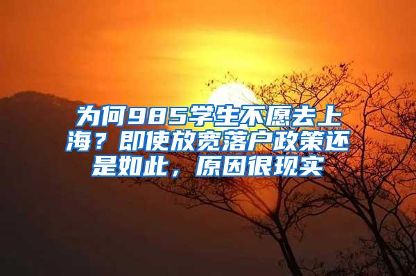 为何985学生不愿去上海？即使放宽落户政策还是如此，原因很现实