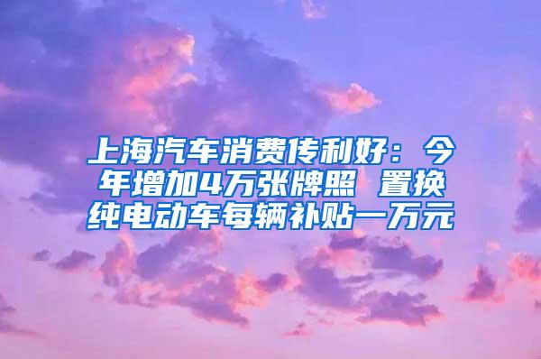 上海汽车消费传利好：今年增加4万张牌照 置换纯电动车每辆补贴一万元