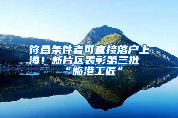 符合条件者可直接落户上海！新片区表彰第三批“临港工匠”