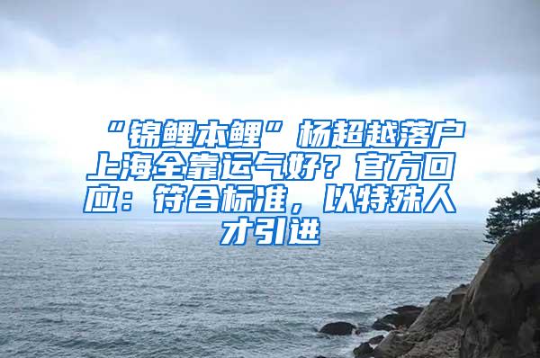 “锦鲤本鲤”杨超越落户上海全靠运气好？官方回应：符合标准，以特殊人才引进