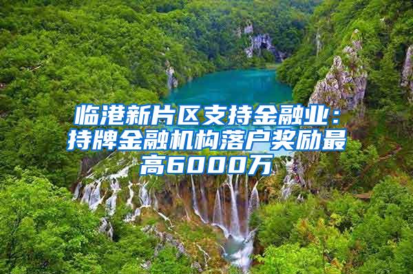 临港新片区支持金融业：持牌金融机构落户奖励最高6000万