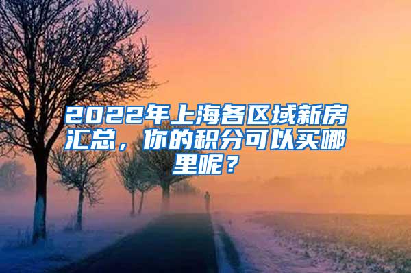 2022年上海各区域新房汇总，你的积分可以买哪里呢？