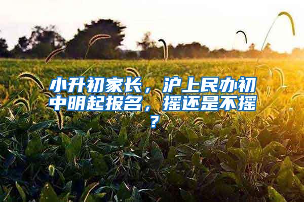 小升初家长，沪上民办初中明起报名，摇还是不摇？