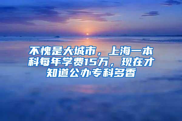 不愧是大城市，上海一本科每年学费15万，现在才知道公办专科多香