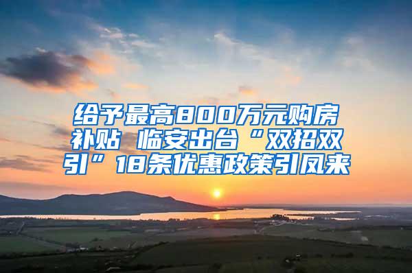 给予最高800万元购房补贴 临安出台“双招双引”18条优惠政策引凤来