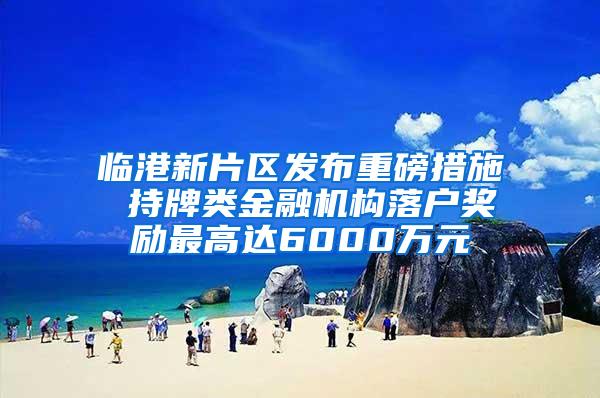 临港新片区发布重磅措施 持牌类金融机构落户奖励最高达6000万元