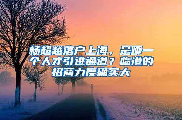 杨超越落户上海，是哪一个人才引进通道？临港的招商力度确实大