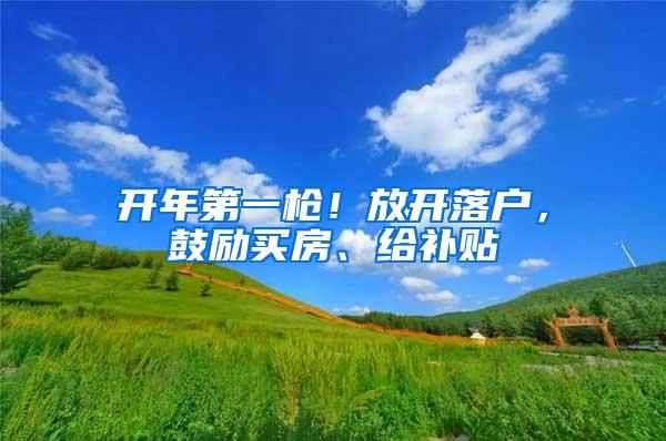 开年第一枪！放开落户，鼓励买房、给补贴