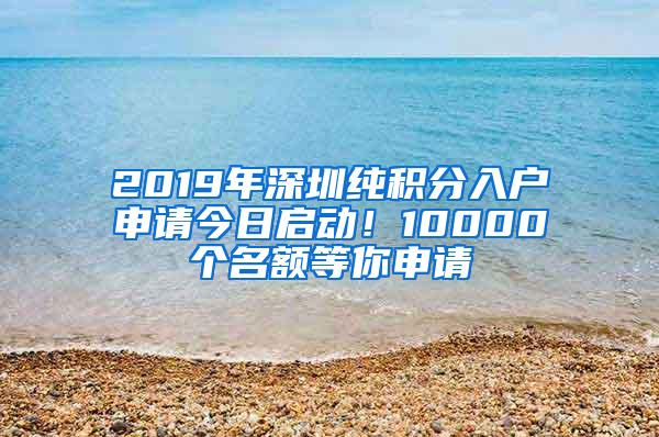 2019年深圳纯积分入户申请今日启动！10000个名额等你申请