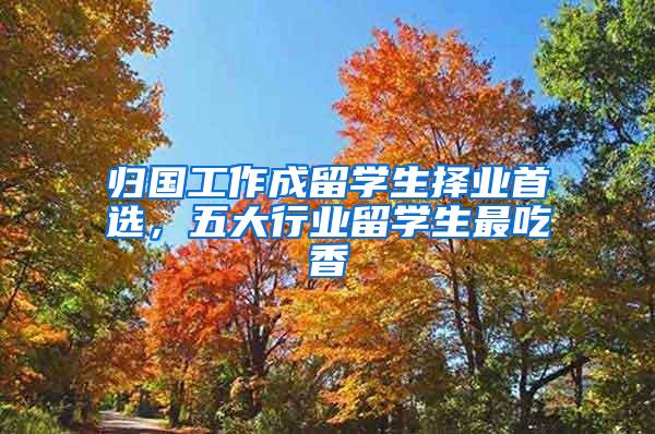 归国工作成留学生择业首选，五大行业留学生最吃香